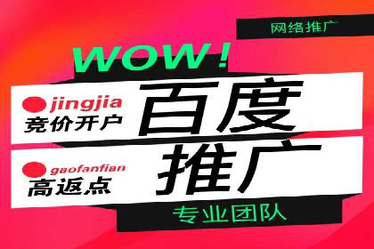 行业领先企业的SEM竞价代运营案例解析